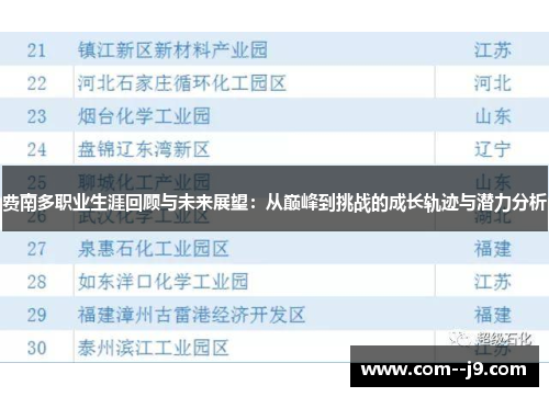 费南多职业生涯回顾与未来展望：从巅峰到挑战的成长轨迹与潜力分析