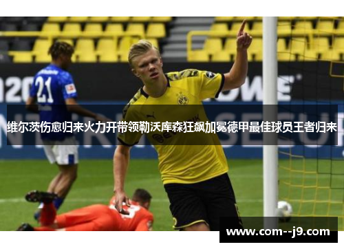维尔茨伤愈归来火力开带领勒沃库森狂飙加冕德甲最佳球员王者归来 维尔茨伤愈归来火力开带领勒沃库森狂飙加冕德甲最佳球员王者归来