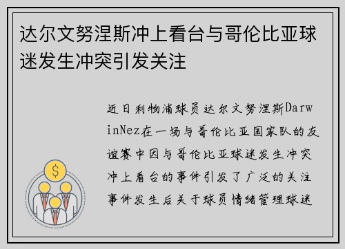 达尔文努涅斯冲上看台与哥伦比亚球迷发生冲突引发关注 达尔文努涅斯冲上看台与哥伦比亚球迷发生冲突引发关注